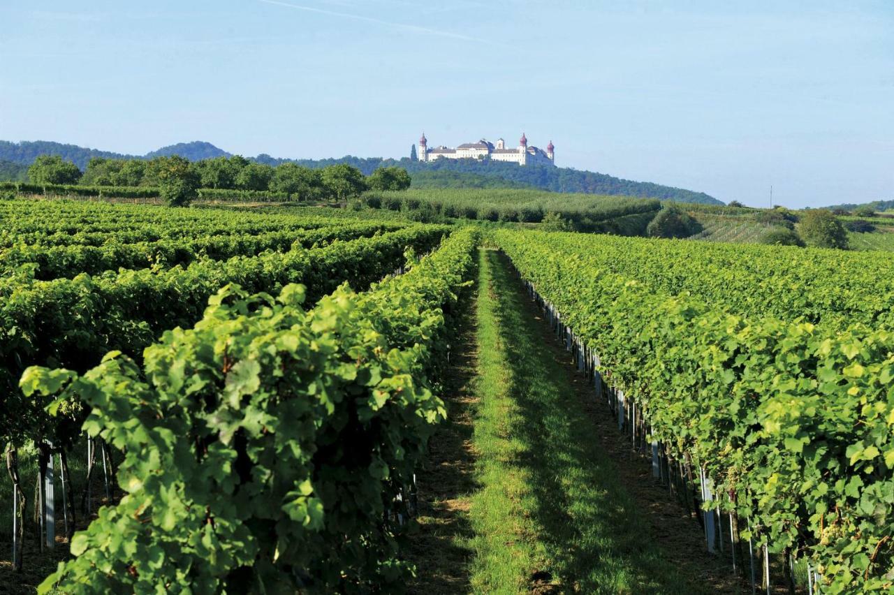 Landhaus Weinblick Hotel Rohrendorf bei Krems ภายนอก รูปภาพ